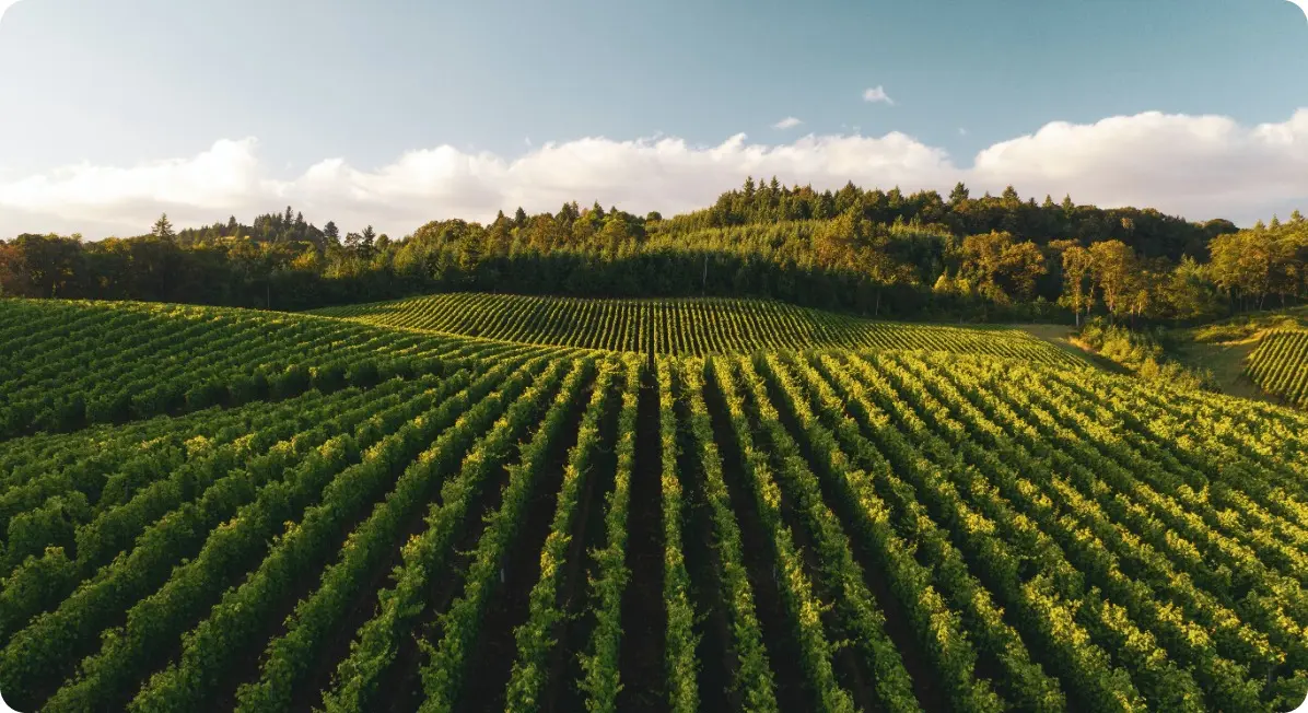 eqviv drone for agriculture